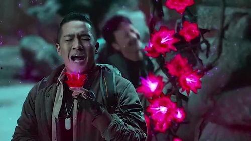 木木盗墓吃瓜,揭秘古墓之谜，吃瓜群众围观盗墓风云